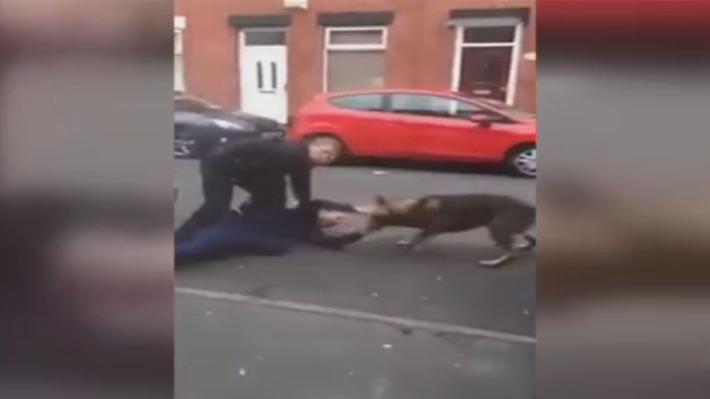 Un hombre agrede brutalmente a un perro policía para evitar ser detenido