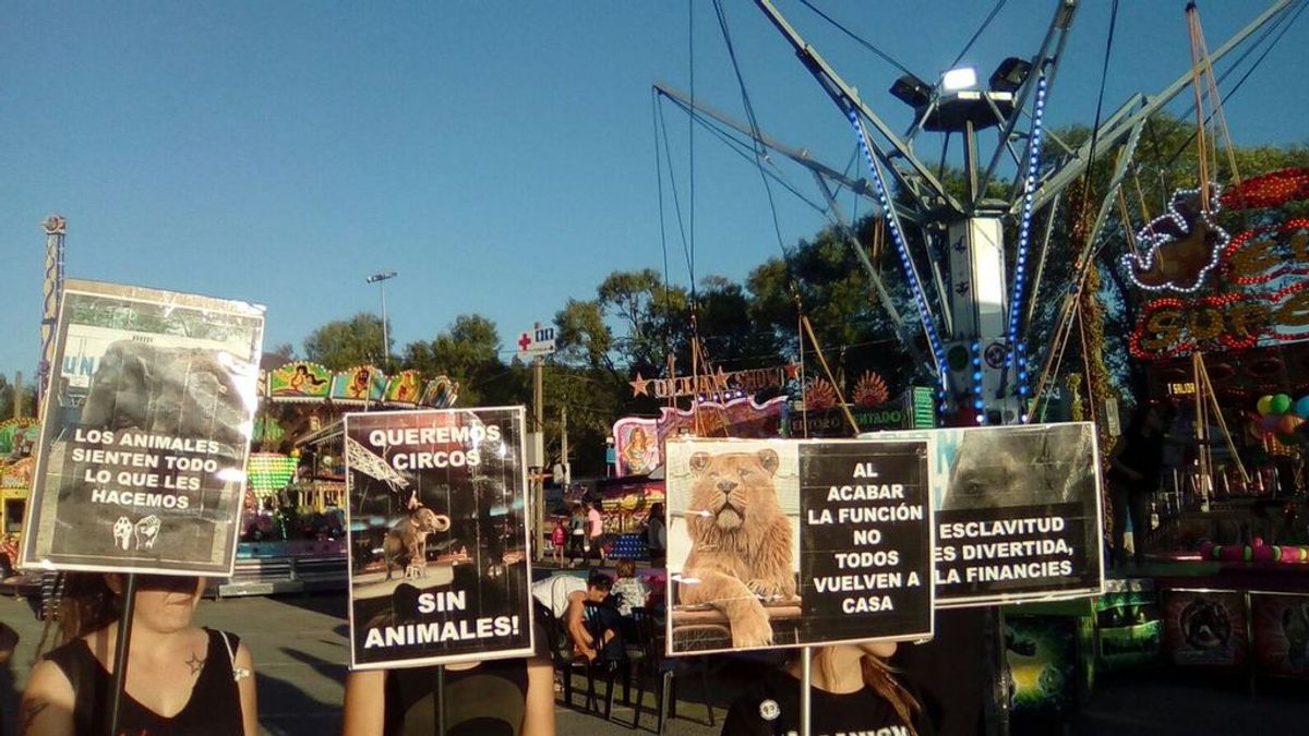 Un total de 418 municipios españoles se han declarado libres de circos con animales