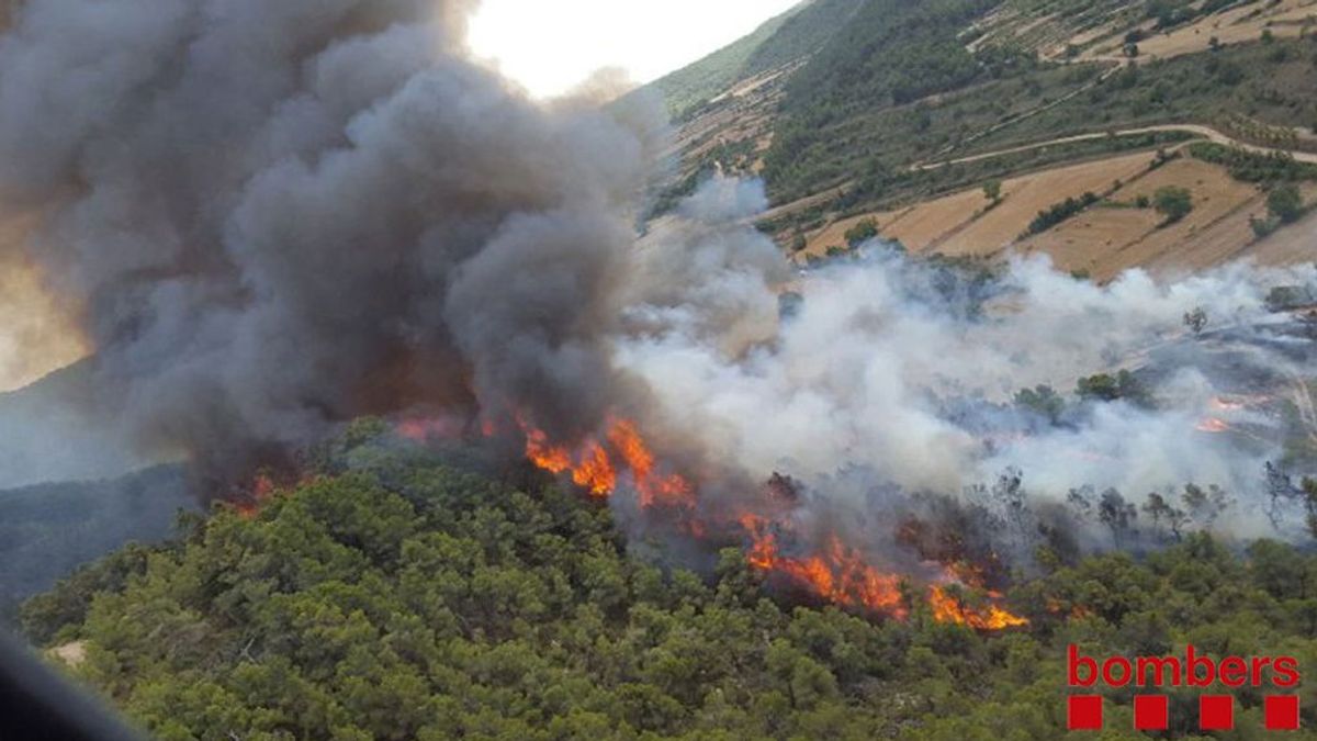 Declarado un incendio forestal en Vallbona de les Monges (Lleida)