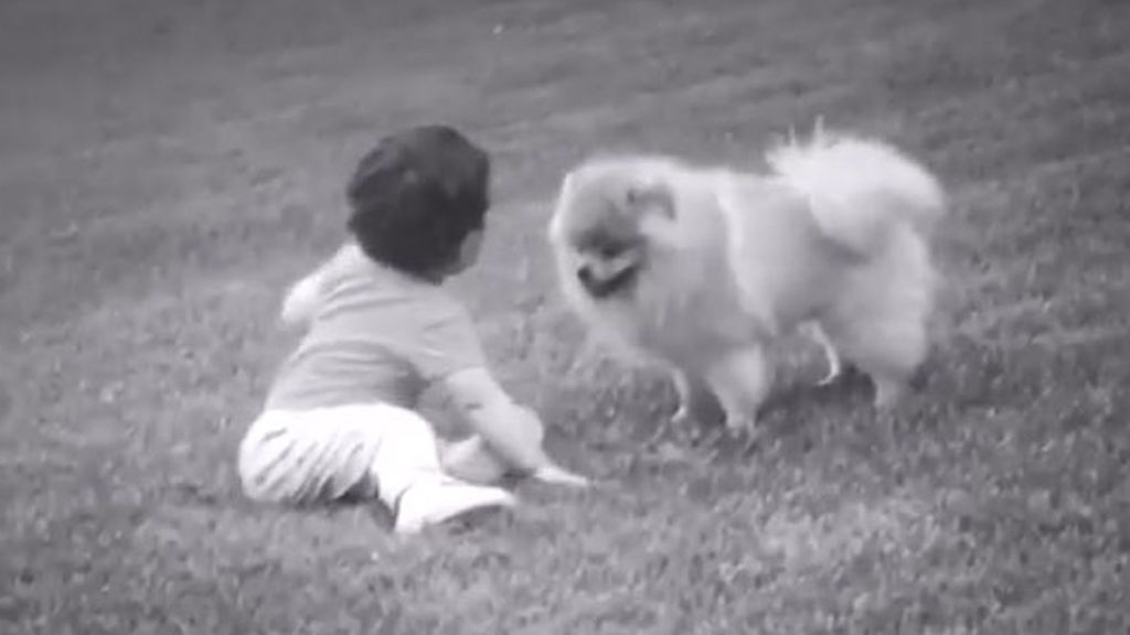 De la relación de Negro y Shaila Tamara Gorro dice: "No es peligrosa, es simplemente maravillosa"