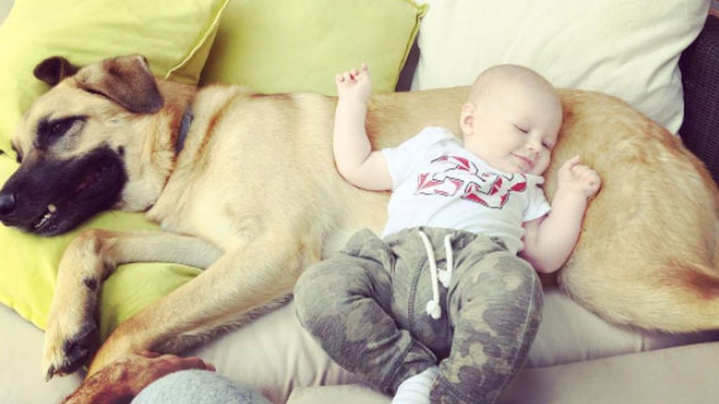 Denver y Alan: amor en casa de Rudy Fernández y Helen Lindes