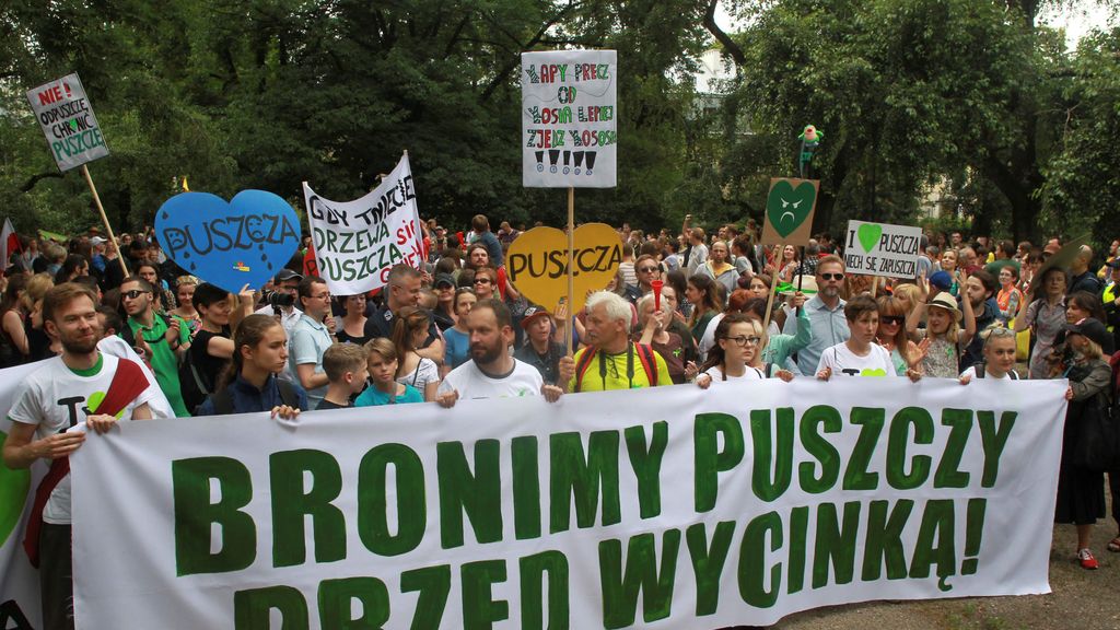 Talan sin permiso y sin parar: Polonia desafía a la UE y acaba con un bosque forestal protegido