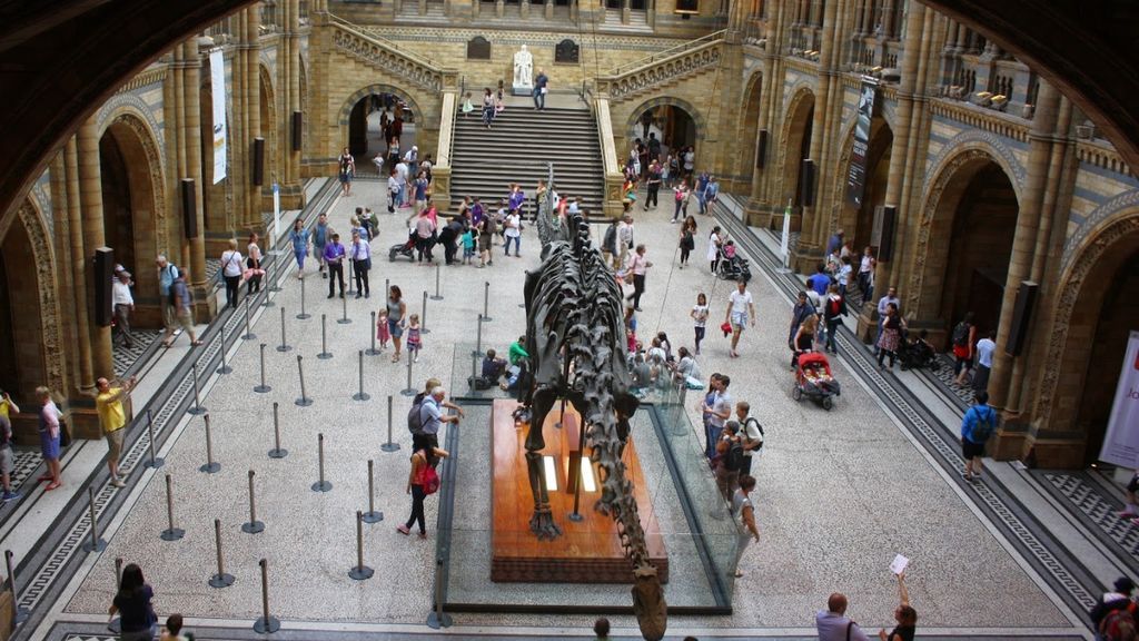Un niño de diez años corrigió un error en el Museo de Historia Natural de Londres Un niño de diez años corrigió un error en el Museo de Historia Natural de Londres