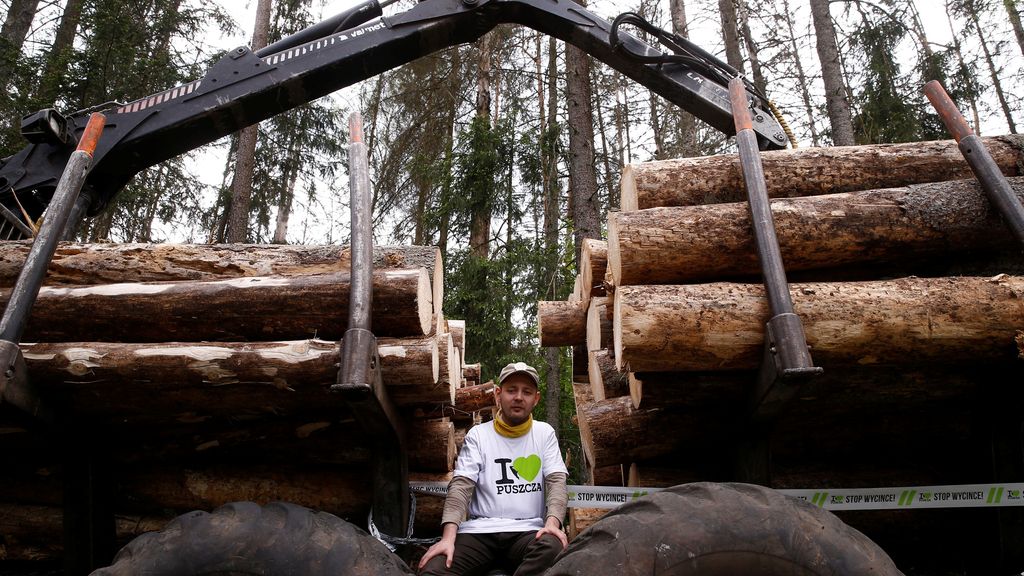 Es el hogar de 20.000 especies de animales, abetos y fresnos de 50 metros