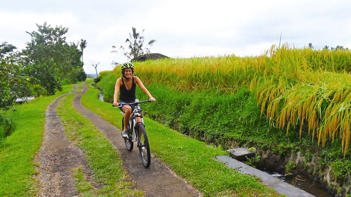 En bici entre arrozales