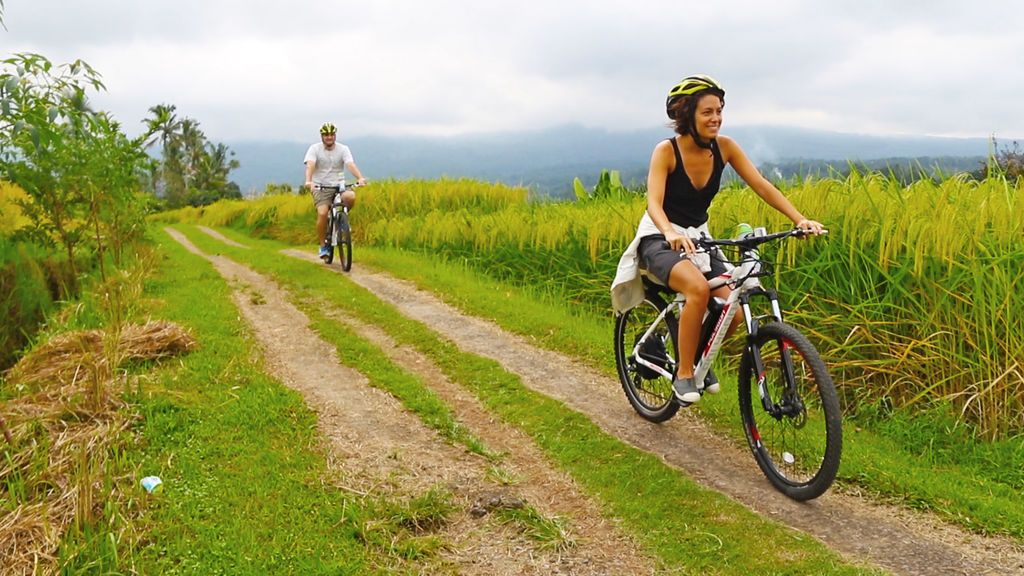 En bici entre arrozales