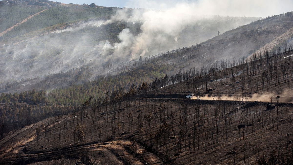 Se investiga la autoría del incendio de Verín que ha arrasado 1.360 hectáreas
