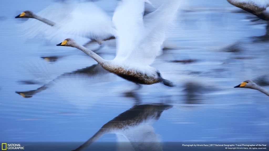 Segundo premio: 'Vivir'