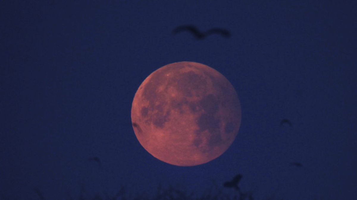 El segundo eclipse lunar del año podrá verse en España mañana a partir de las 21.10 horas
