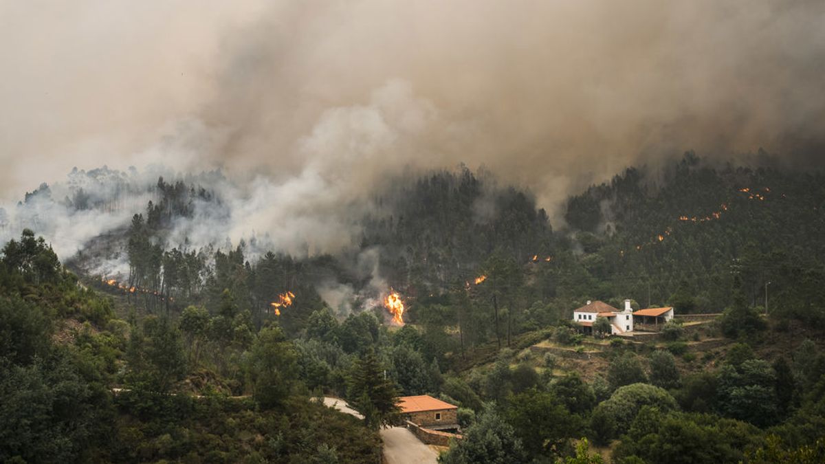 El fuego ha arrasado 63.762 hectáreas en lo que va de año, el peor del último lustro