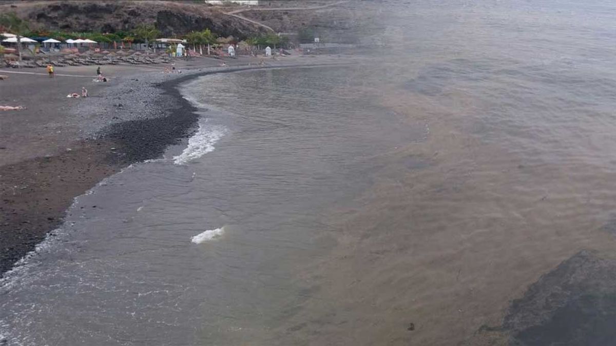 Precaución en Canarias: un brote de microalgas muy tóxicas obliga a cerrar algunas playas