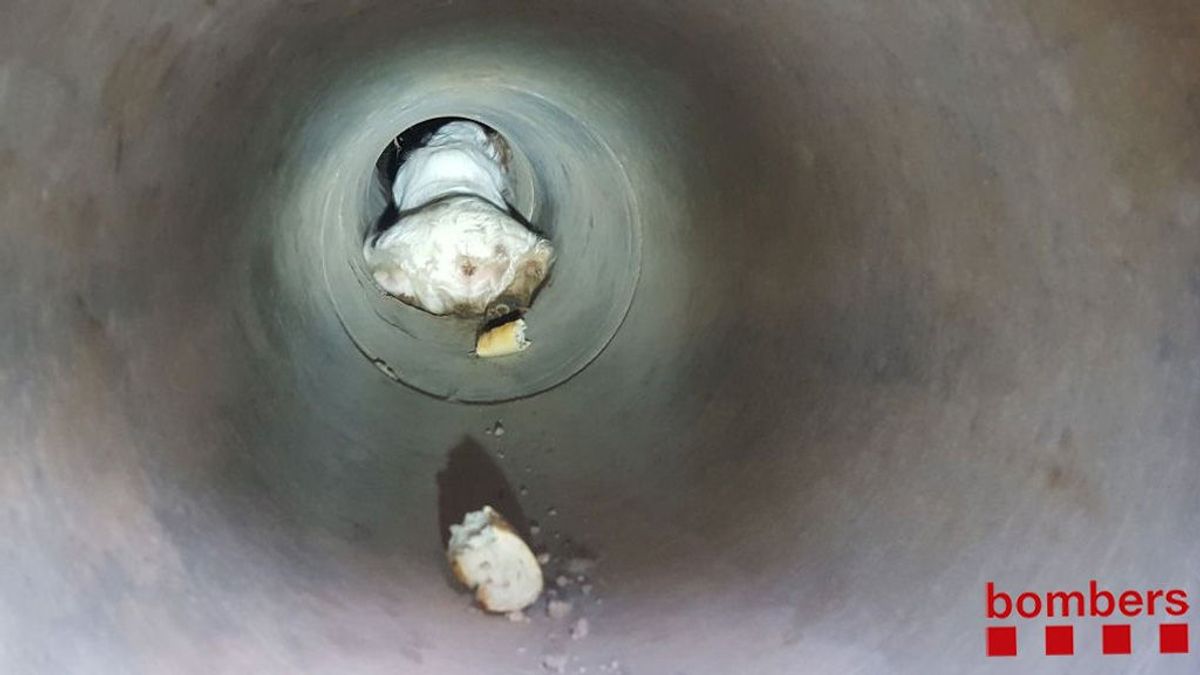Rescatan a un perro atrapado en un tubo del que habían tapado la salida en Lleida