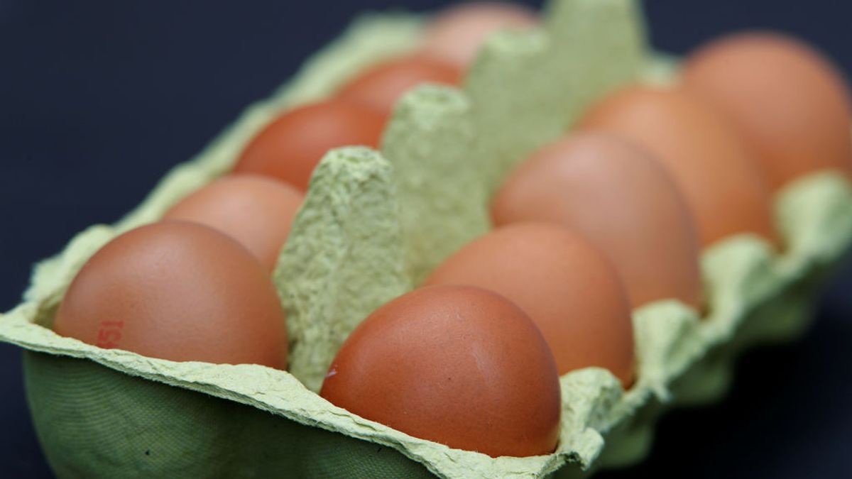 Los huevos contaminados con pesticida prohibido que atragantan a Europa