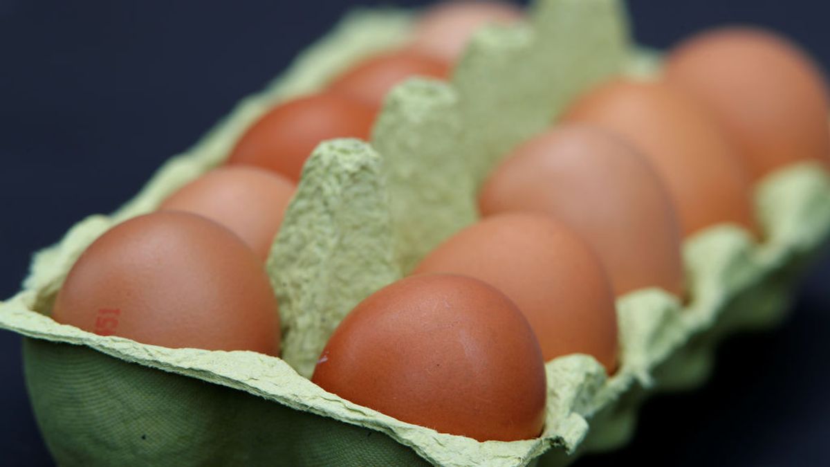 Los huevos contaminados con pesticida prohibido que atragantan a Europa