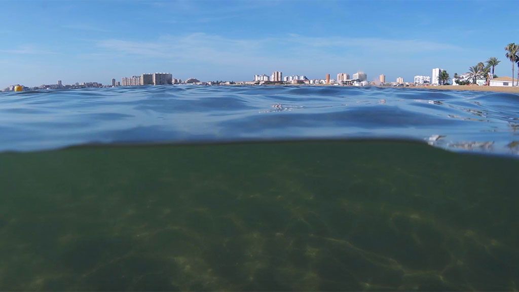 El Mar Menor ya no es una sopa verde… de momento