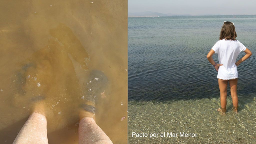 Pendientes del fenómeno Lucifer: la subida de la temperatura del mar podría desequilibrar el ecosistema de nuevo