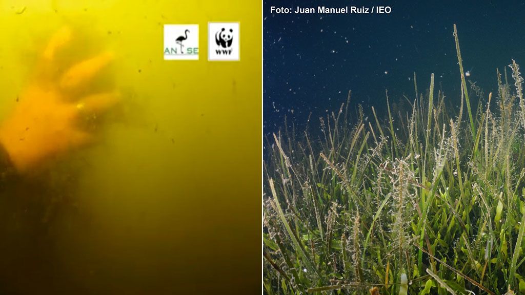 La acumulación de fango se va reduciendo