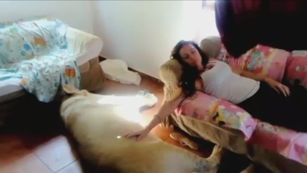 Una familia vive con un león de 250 kilos en su casa de Olot