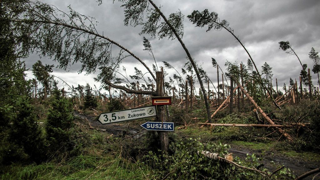 Árboles destrozados tras una fuerte tormenta en Szuszek