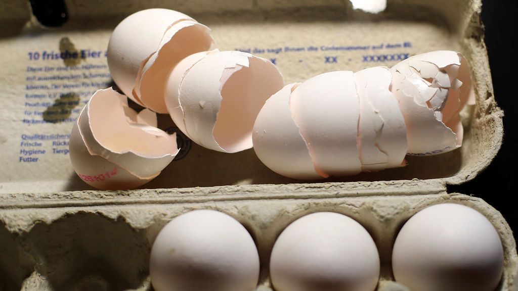 ¿Cómo lograron inmovilizar la partida de huevos contaminados en España?