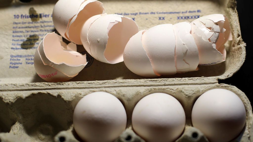 ¿Cómo lograron inmovilizar la partida de huevos contaminados por Fipronil en España?