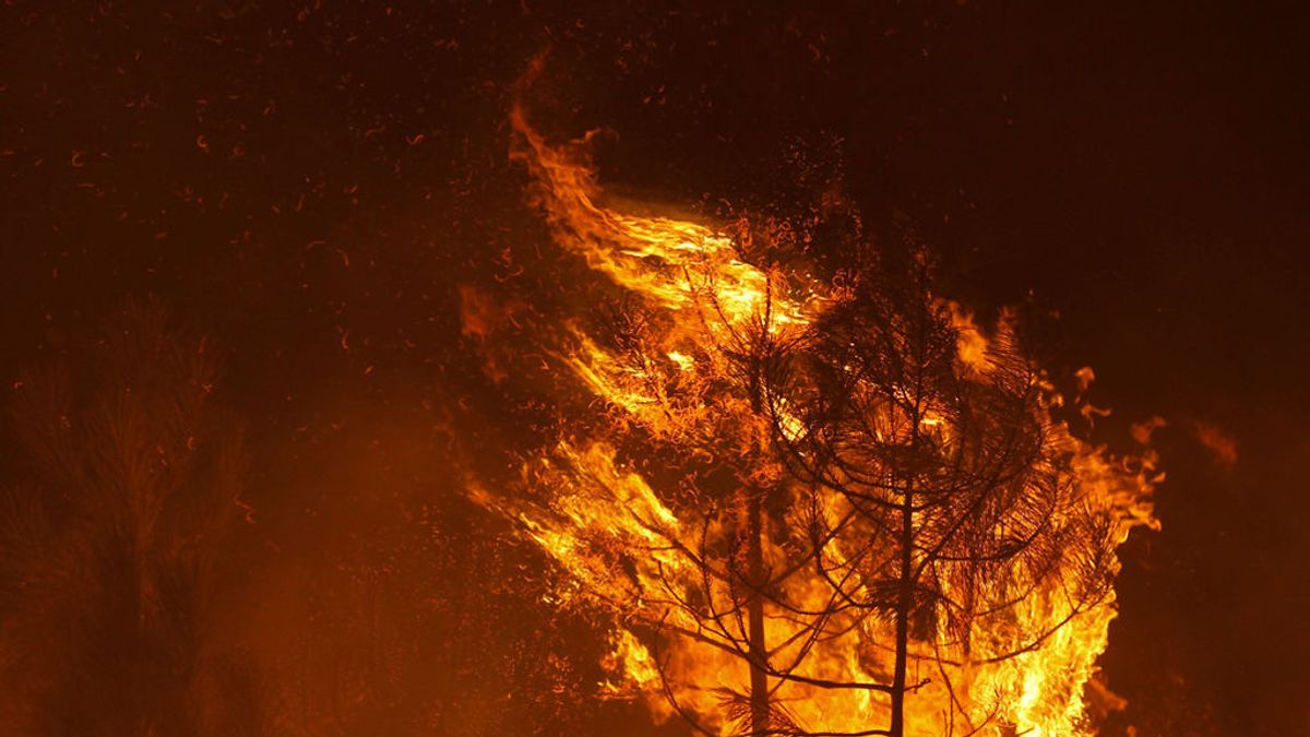 España ofrece ayuda a Portugal para combatir los incendios con 120 bomberos