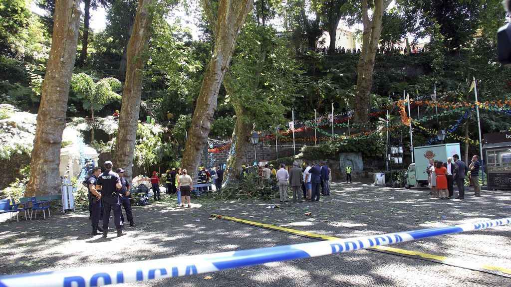 El momento exacto en el que un enorme árbol mata a 13  feligreses en Madeira
