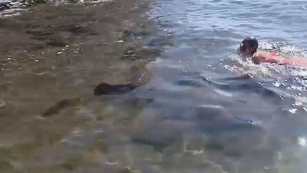 Una invasión de peces manta desata la locura en una playa de Canarias