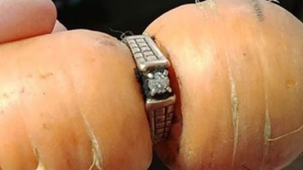 Una mujer recupera su anillo de compromiso perdido 13 antes en el huerto de su casa