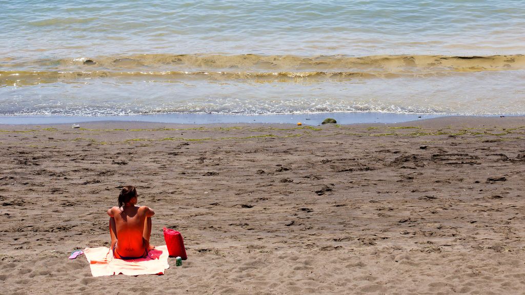 Advertencia sobre micro invasión de algas en Gran Canaria
