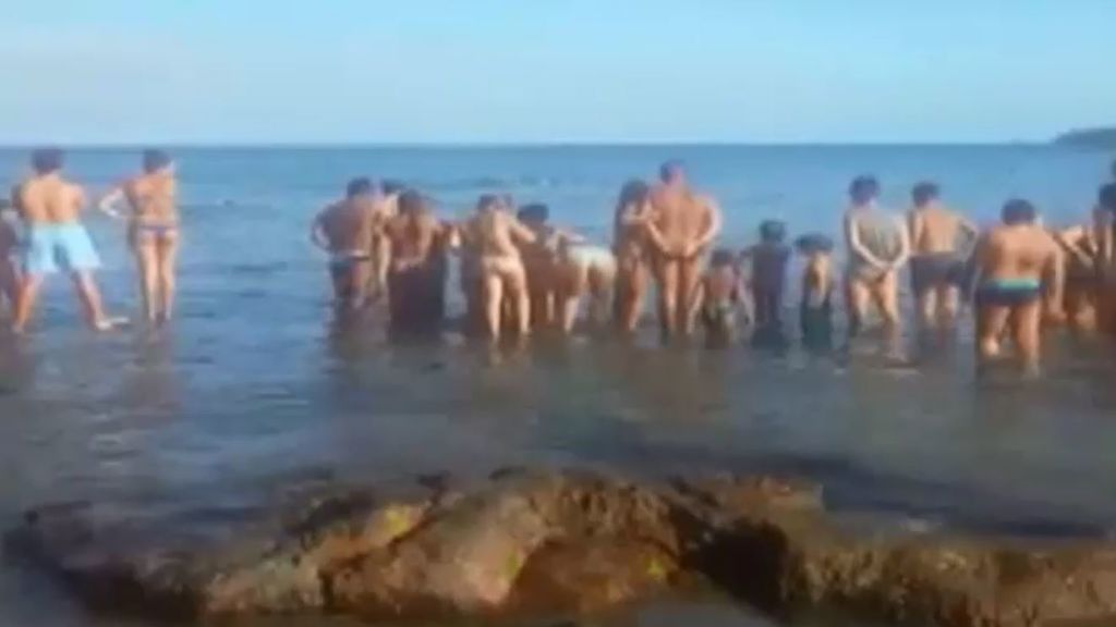 ¡Invasión! Un centenar de peces manta desata la locura en una playa de Canarias