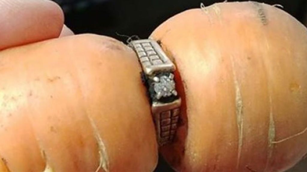 Una mujer recupera su anillo de compromiso perdido 13 antes en el huerto de su casa