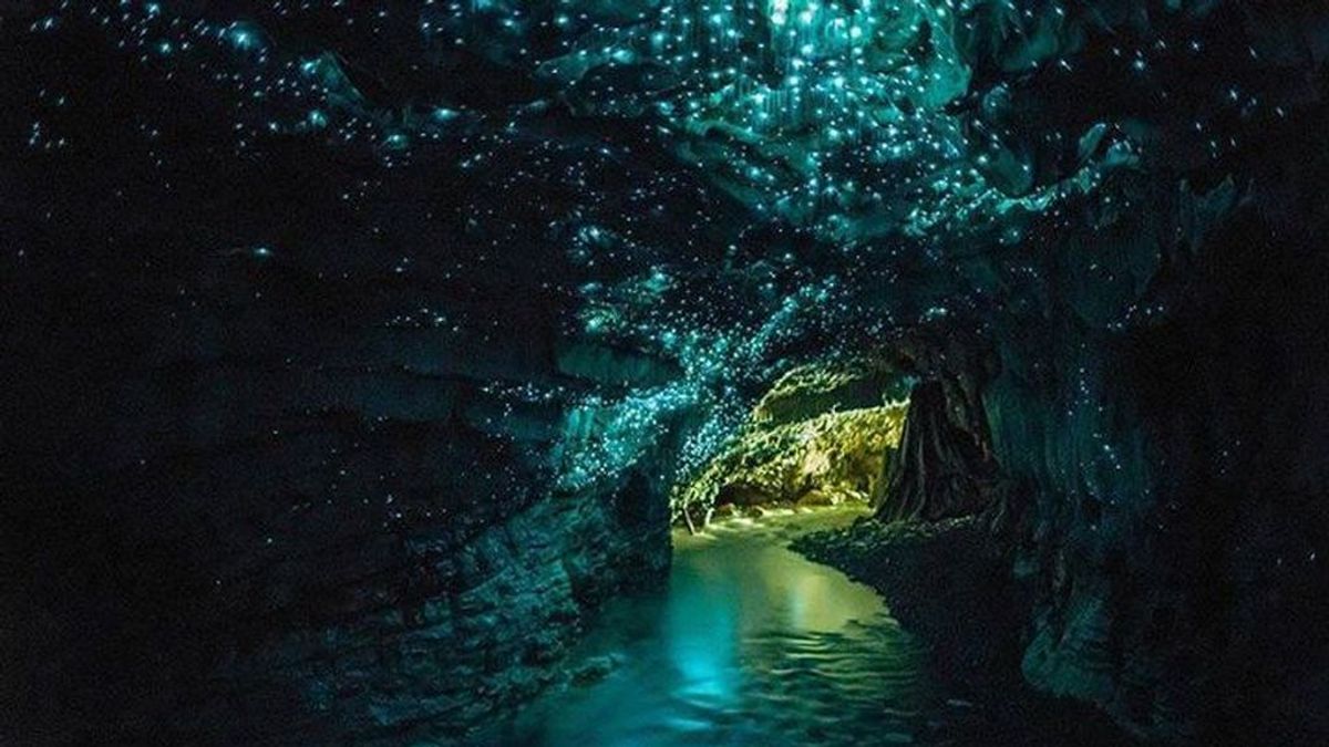 Glowworm Caves: las fascinantes cuevas que parecen una galaxia azul brillante