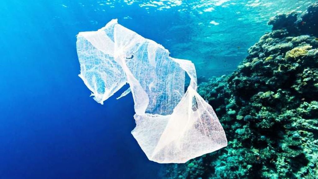 La razón por la que los peces se comen el plástico tiene que ver con el olor