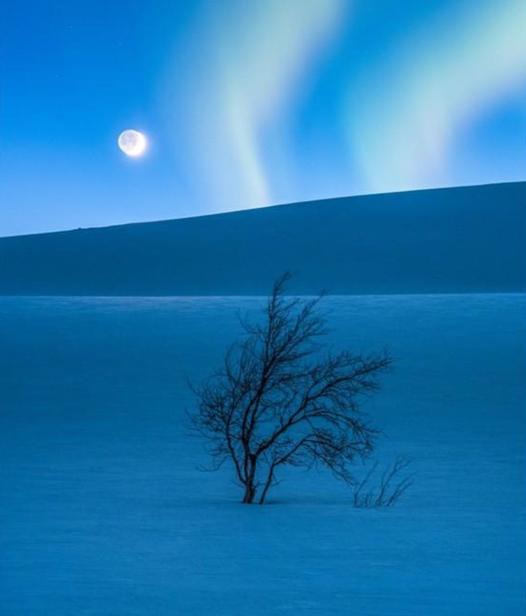 Foto realizada por Tommy Eliassen (Noruega), en Saltfjellet (Noruega)