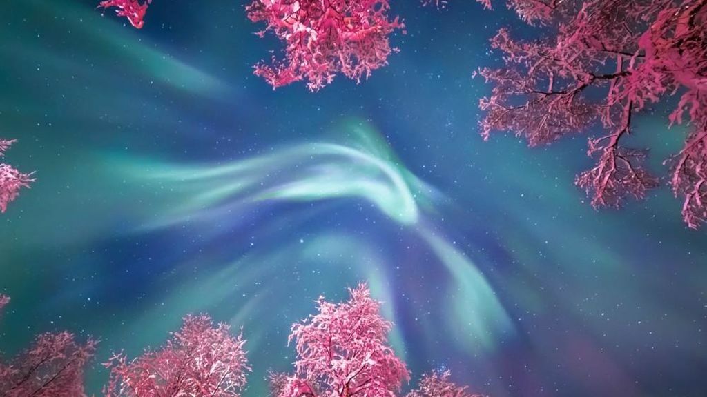 Foto realizada por Yulia Zhulikova (Rusia), en Murmansk (Rusia)
