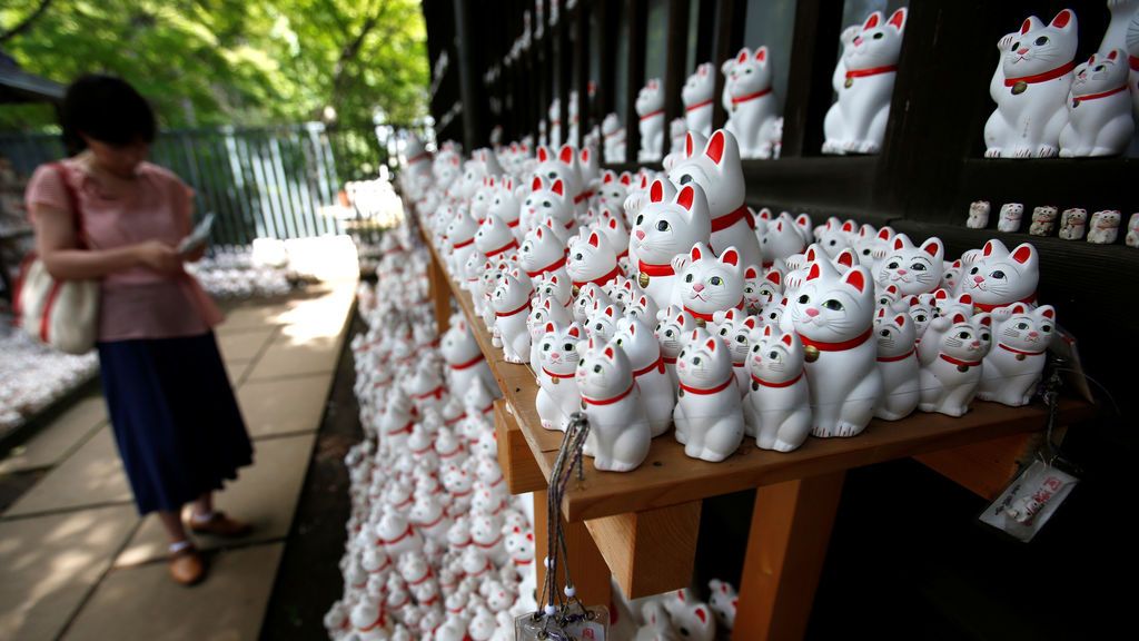 Invasión gatuna en Japón