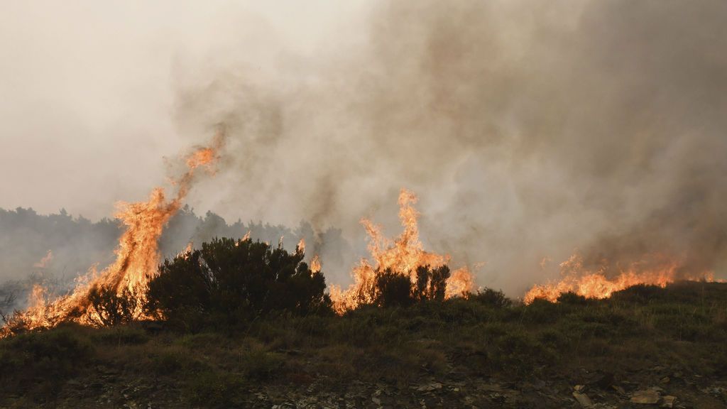 El incendio de León, uno de los más graves del año, intencionado