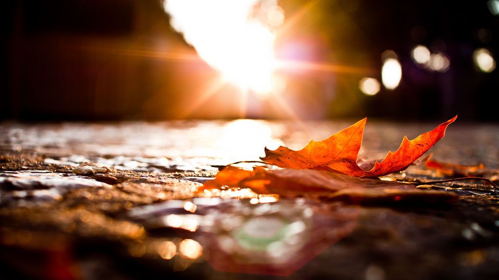 ¿Septiembre de calorazo fresquito? Te lo contamos ¿Septiembre de calorazo fresquito? Te lo contamos