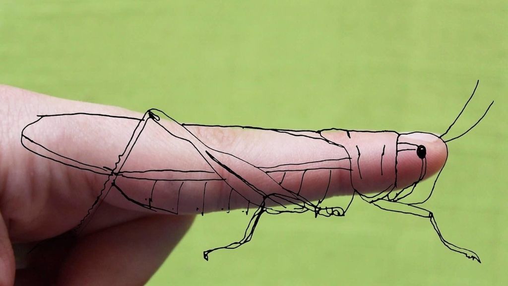 Esta artista se inspira en las formas de su cuerpo y lo utiliza como lienzo