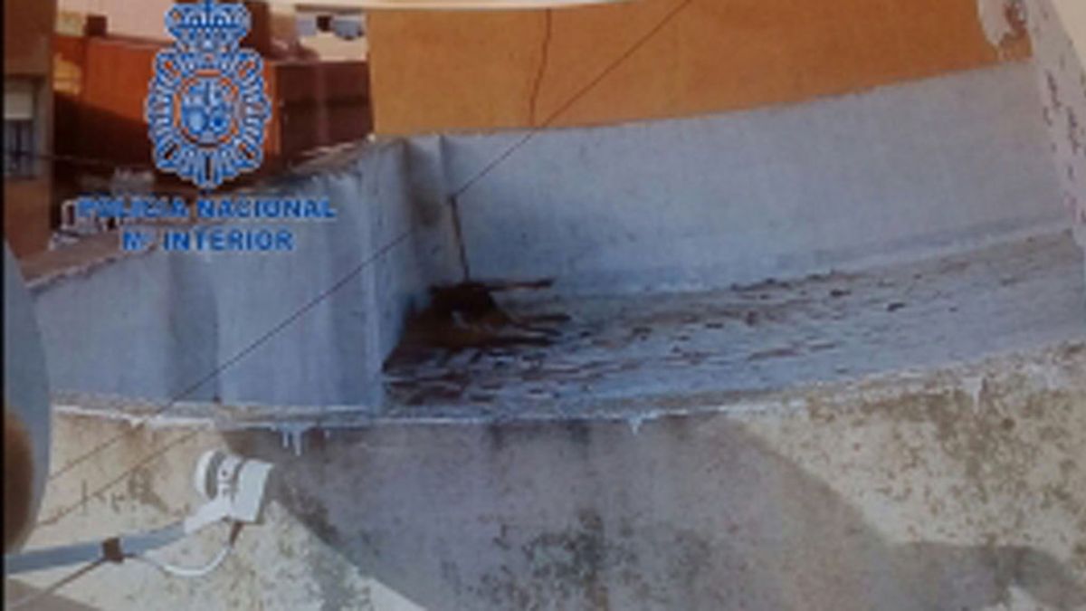 Detenida una mujer en Algeciras por dejar morir a su perro atado y desatendido en una azotea