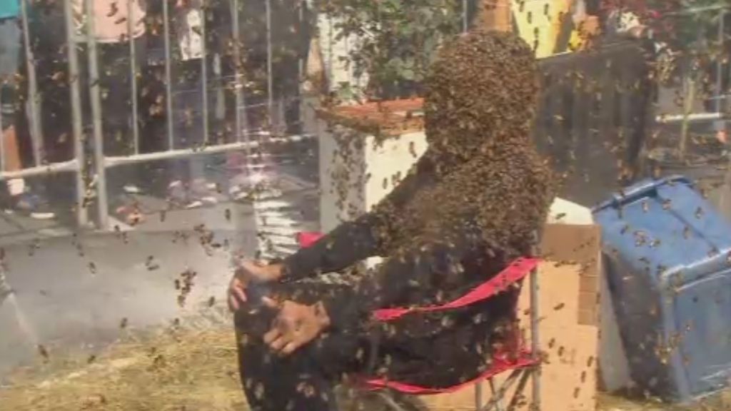 Un granjero de Toronto bate el récord de aguantar cubierto de abejas