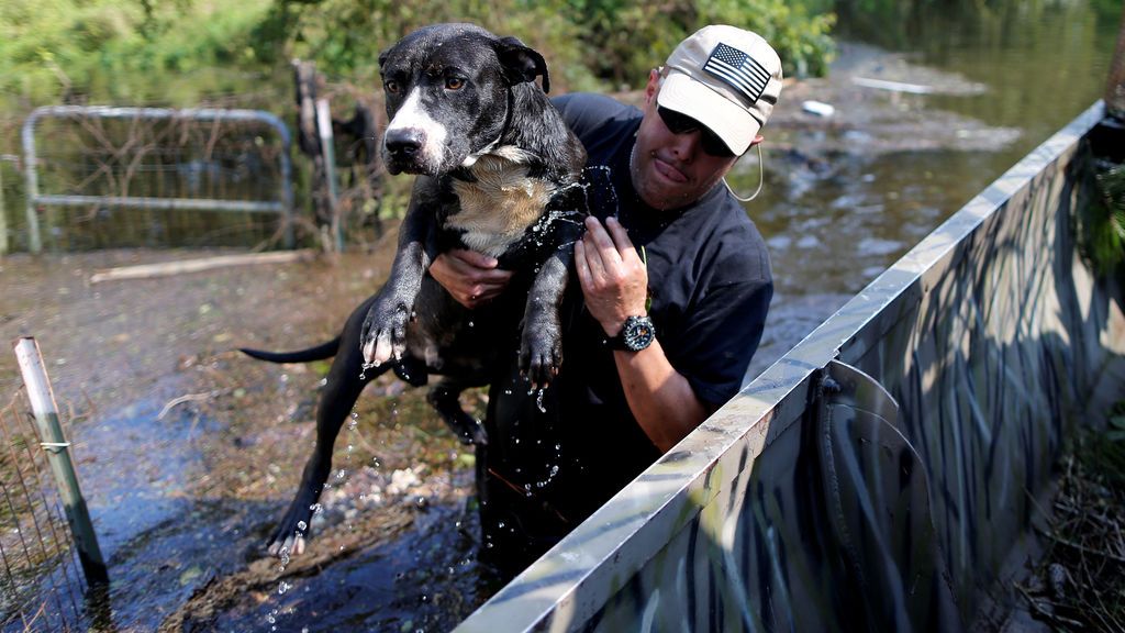 Rescate 'in extremis' a un perro en plena tormenta tropical Harvey