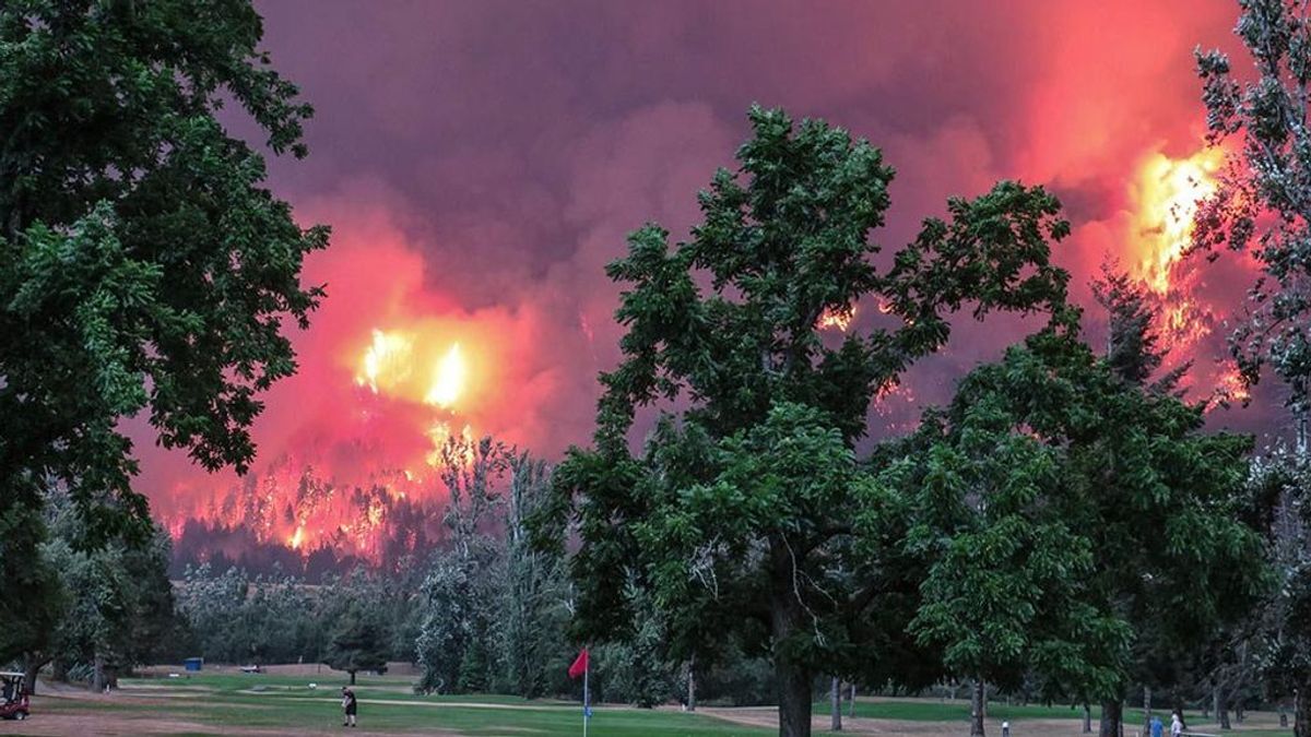 Golfistas siguen jugando a pesar de un gran incendio forestal