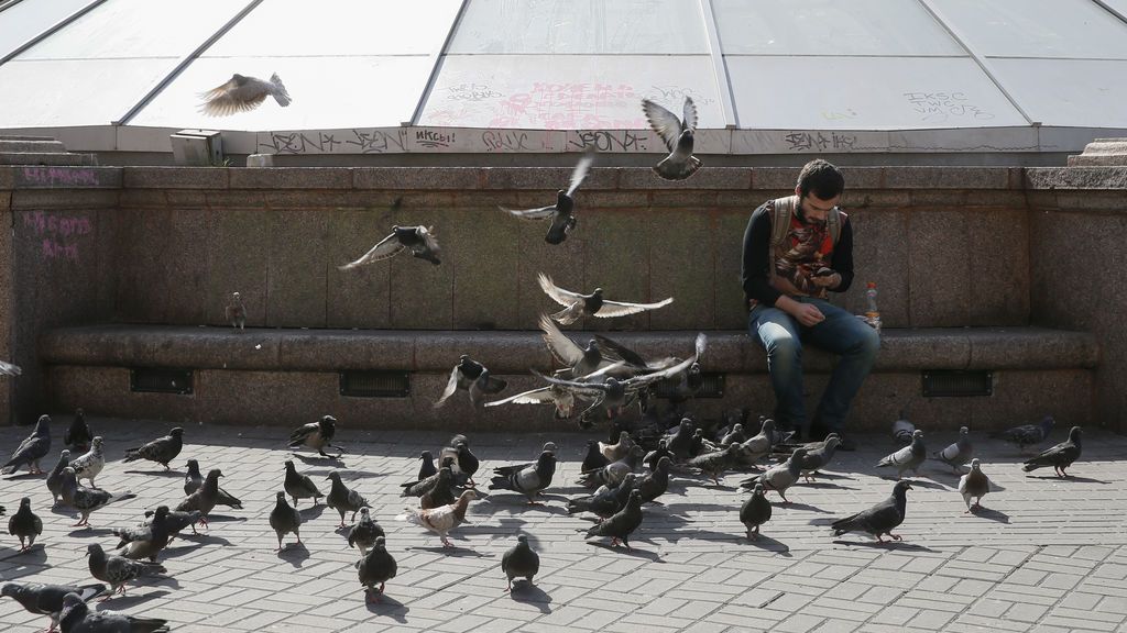 Mendigos cazan catorce palomas en Reino Unido para comérselas
