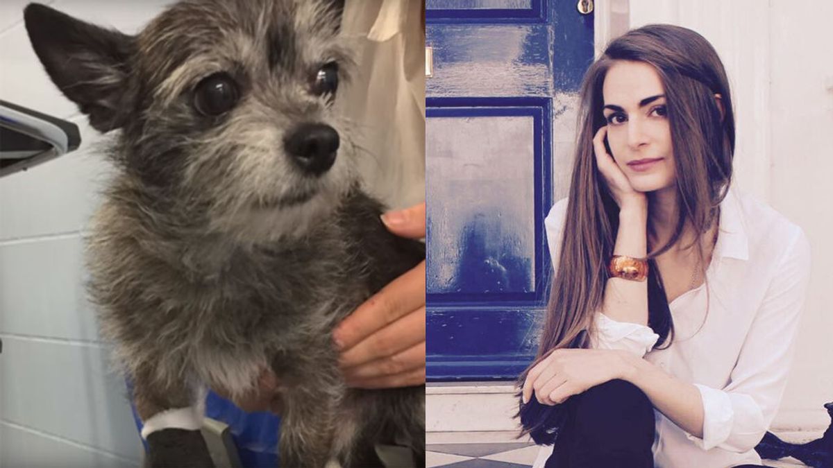 Sorprendente gesto de esta joven inglesa para salvarle la vida a si perro