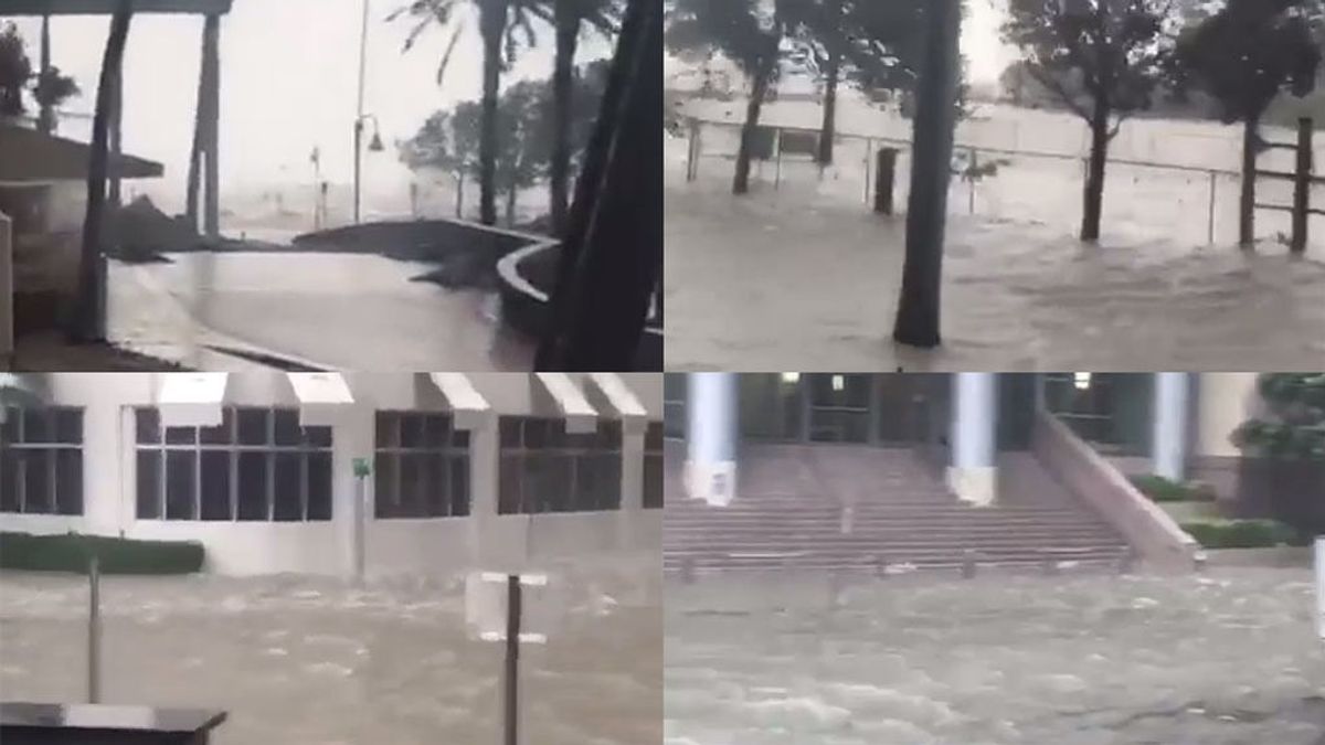 Christian Vieri muestra en un vídeo las consecuencias devastadoras del huracán Irma