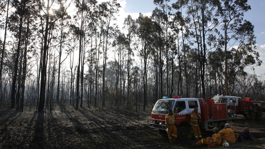 Incendio forestal en el Valle Hunter