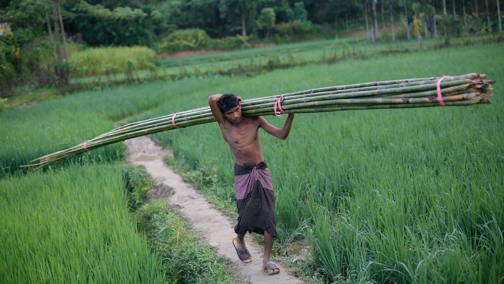 Construcción de un refugio temporal en Bangladesh