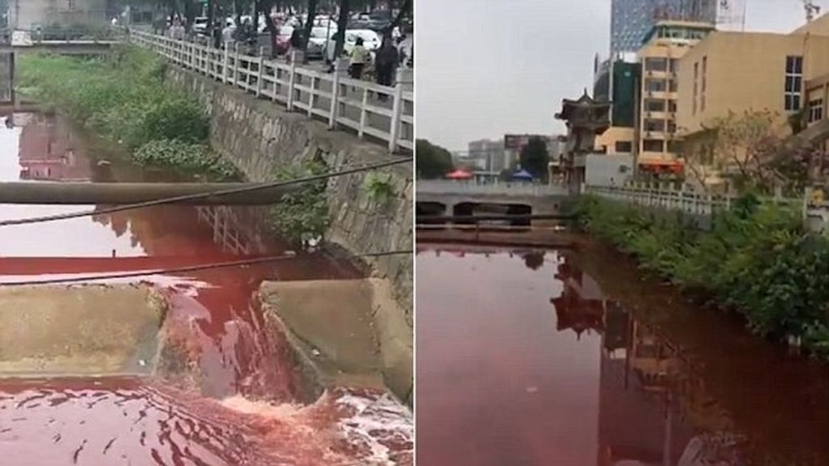 Río de sangre (literal): ¿qué le ha pasado a este afluente chino?